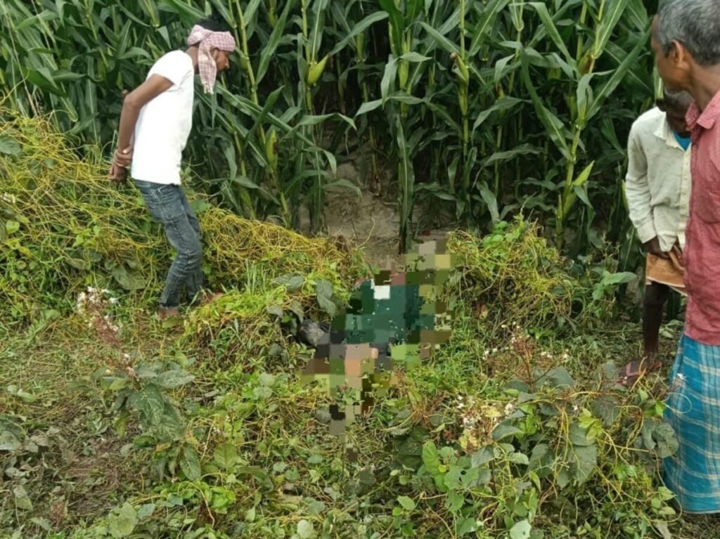 purnia-kenagar-maize-field-woman-dead-body-recovered-mystery