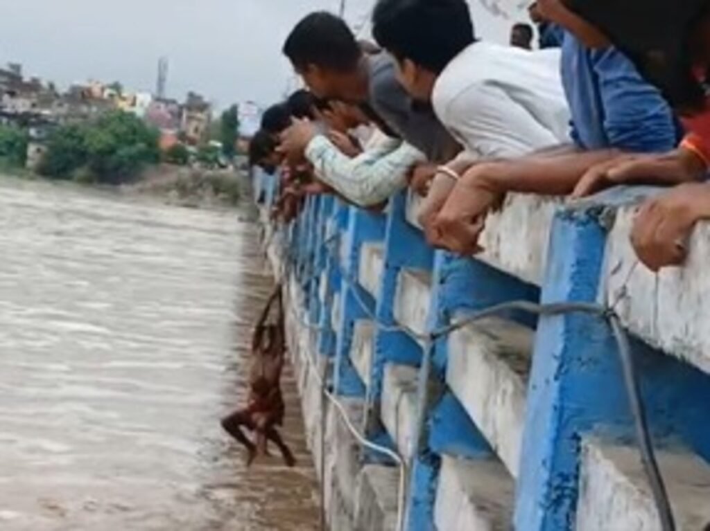 gaya-rubber-dam-water-released-falgu-river-fish-loot-admin-alert