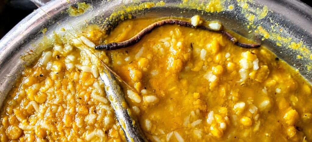saharsa-mdm-poison-snake-found-mid-day-meal-students-sick