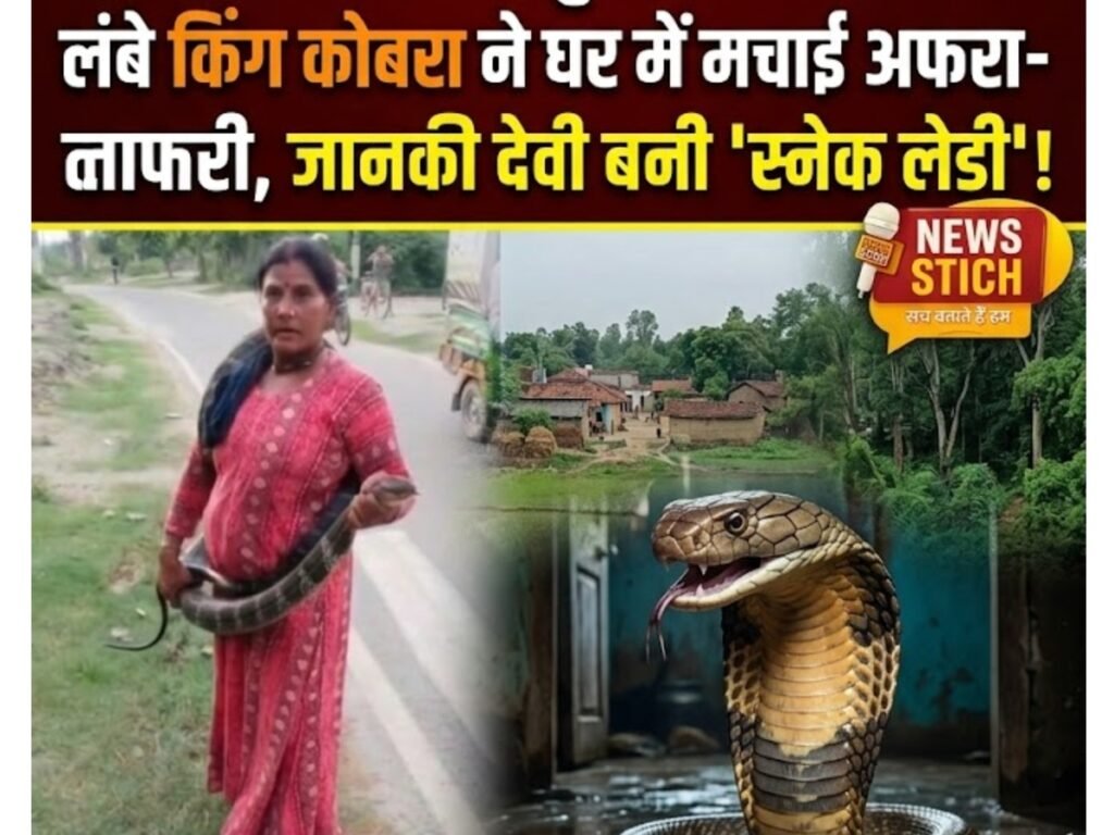 Snake Lady Janki Devi rescuing 10 feet long King Cobra in Valmikinagar Bihar